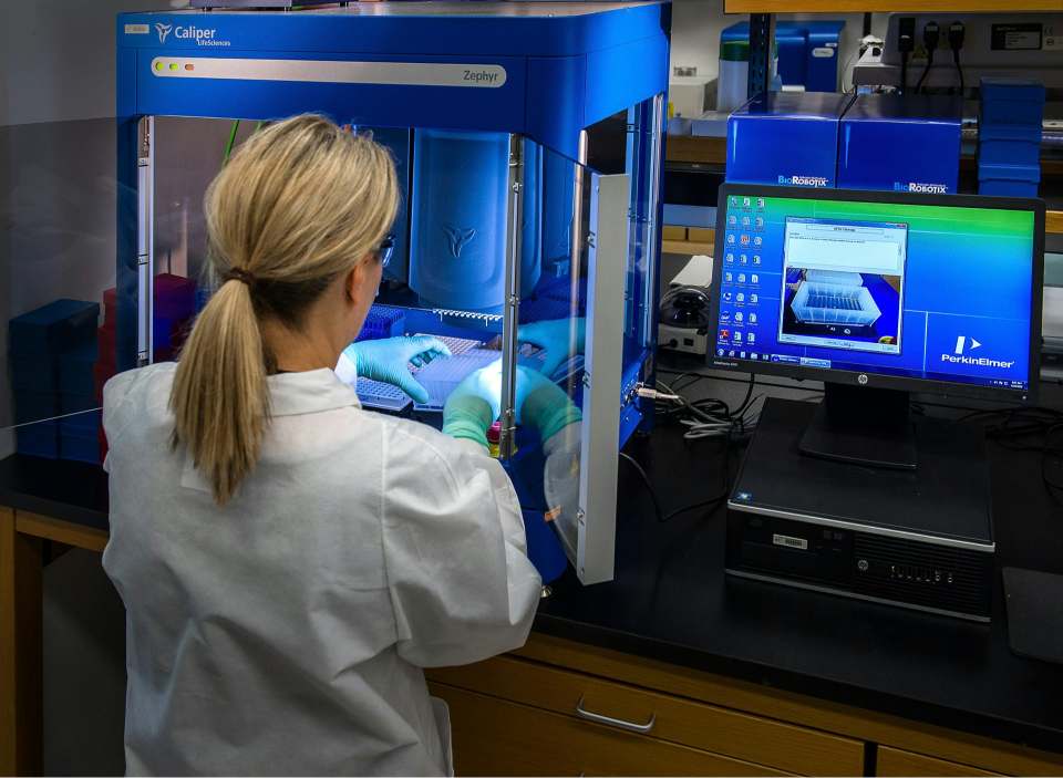 Frau im weißen Hemd steht vor dem Computer